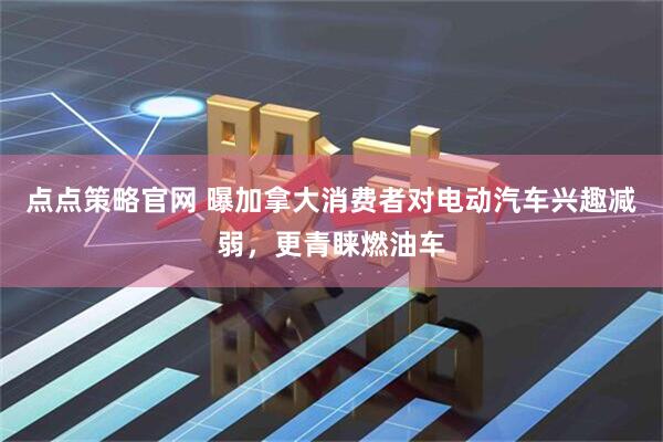 点点策略官网 曝加拿大消费者对电动汽车兴趣减弱，更青睐燃油车