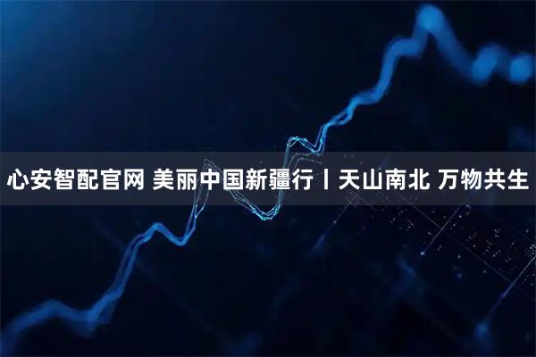 心安智配官网 美丽中国新疆行丨天山南北 万物共生